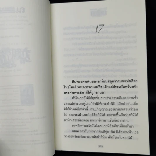 ราชินีชีบา 2 เล่มจบ - ลักษณวดี รูปที่ 11