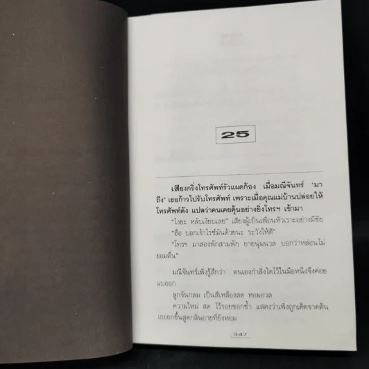 ทวิภพ 2 เล่มจบ - ทมยันตี รูปที่ 11