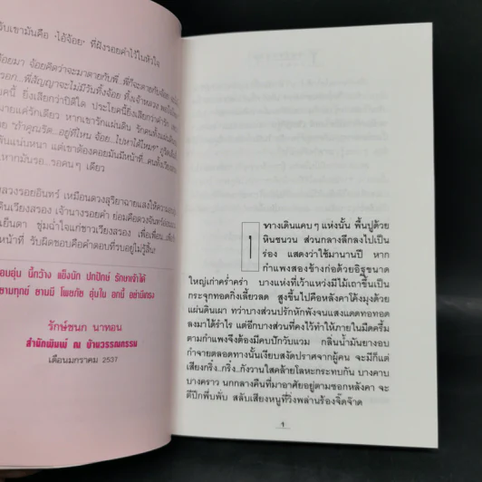 โสมส่องแสง 2 เล่มจบ - โรสลาเรน รูปที่ 9