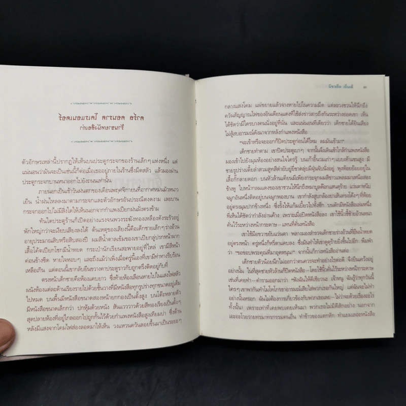 จินตนาการไม่รู้จบ The Neverending Story - มิชาเอ็ล เอ็นเด้ รูปที่ 10