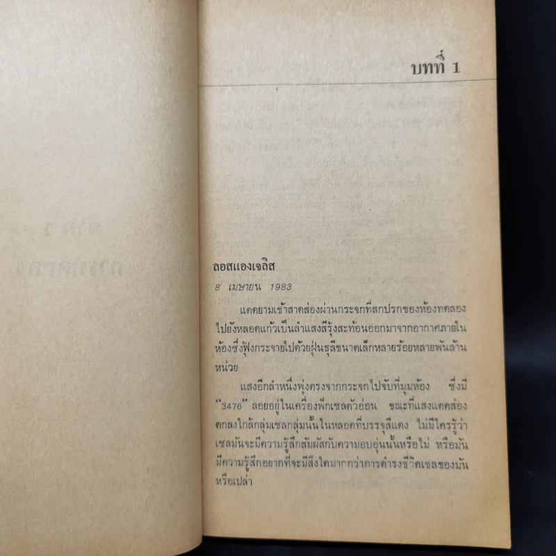 ทายาทซาตาน - เชลลีย์ แค็ทซ์ รูปที่ 9