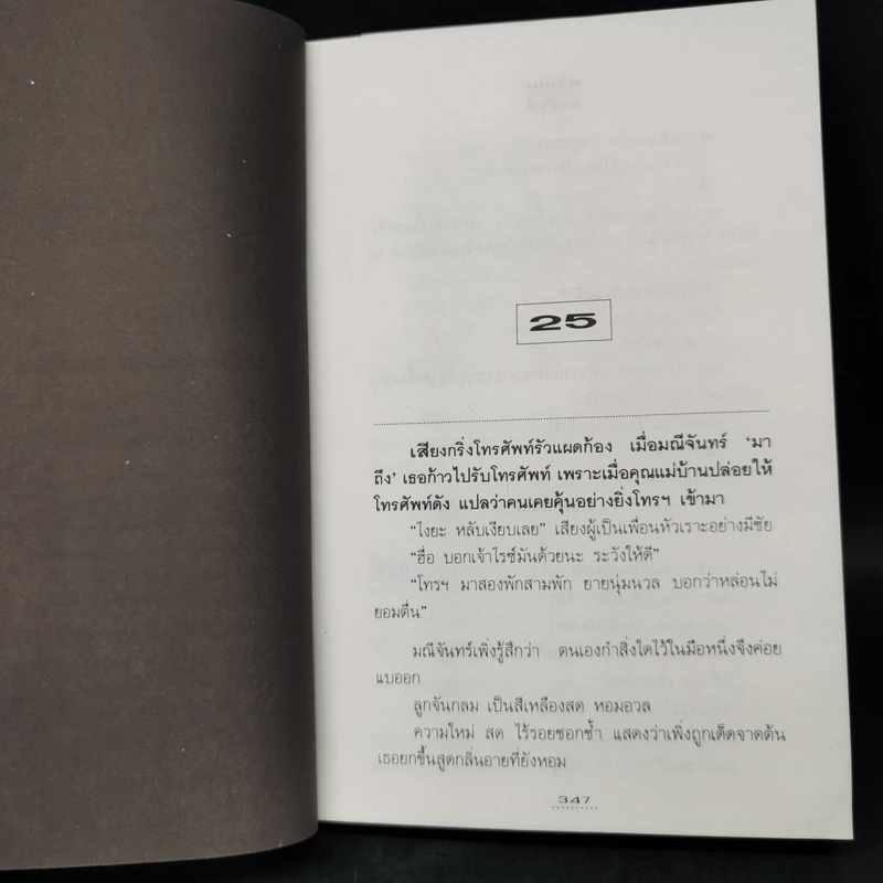 ทวิภพ 2 เล่มจบ - ทมยันตี รูปที่ 11