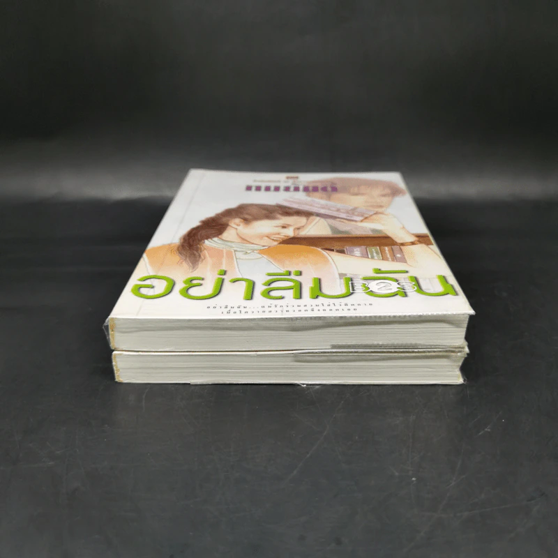 อย่าลืมฉัน 2 เล่มจบ - ทมยันตี รูปที่ 4