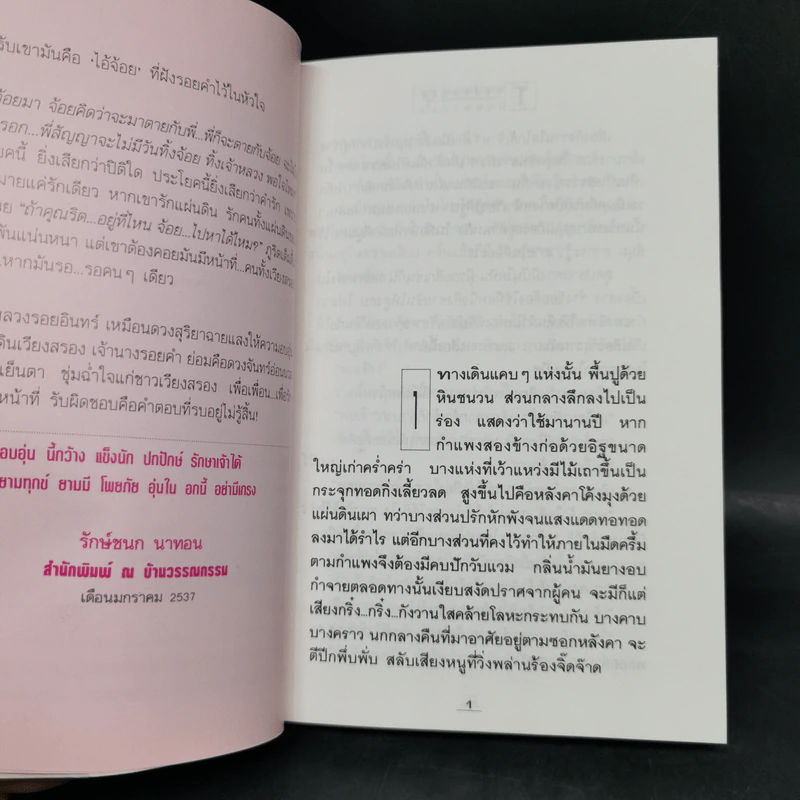 โสมส่องแสง 2 เล่มจบ - โรสลาเรน รูปที่ 9