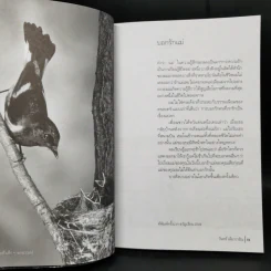 รองเท้าเล็กๆของเราเอง - วินทร์ เลียววาริณ รูปที่ 11