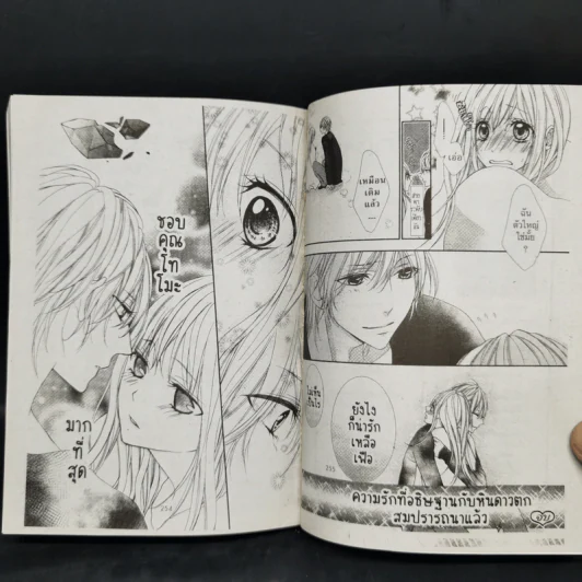 การ์ตูนหมึกจีน เผลอใจรักคุณหนูบ้านนอก รูปที่ 10