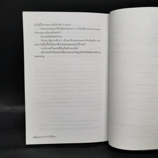 สมุดปกดำกับใบไม้สีแดง - วินทร์ เลียววาริณ รูปที่ 11