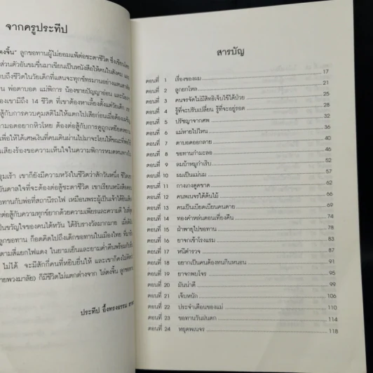ไล่ตงจิ้น ลูกขอทาน ผู้ไม่ยอมแพ้ต่อชะตาชีวิต - Lai Dong Jin รูปที่ 9