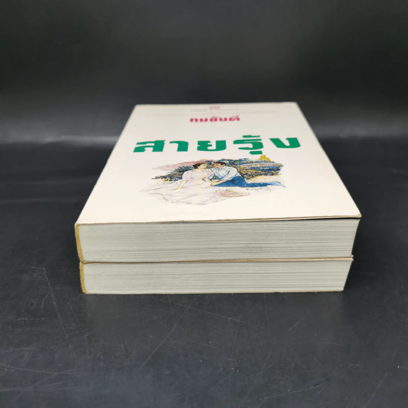 สายรุ้ง 2 เล่มจบ - ทมยันตี รูปที่ 4