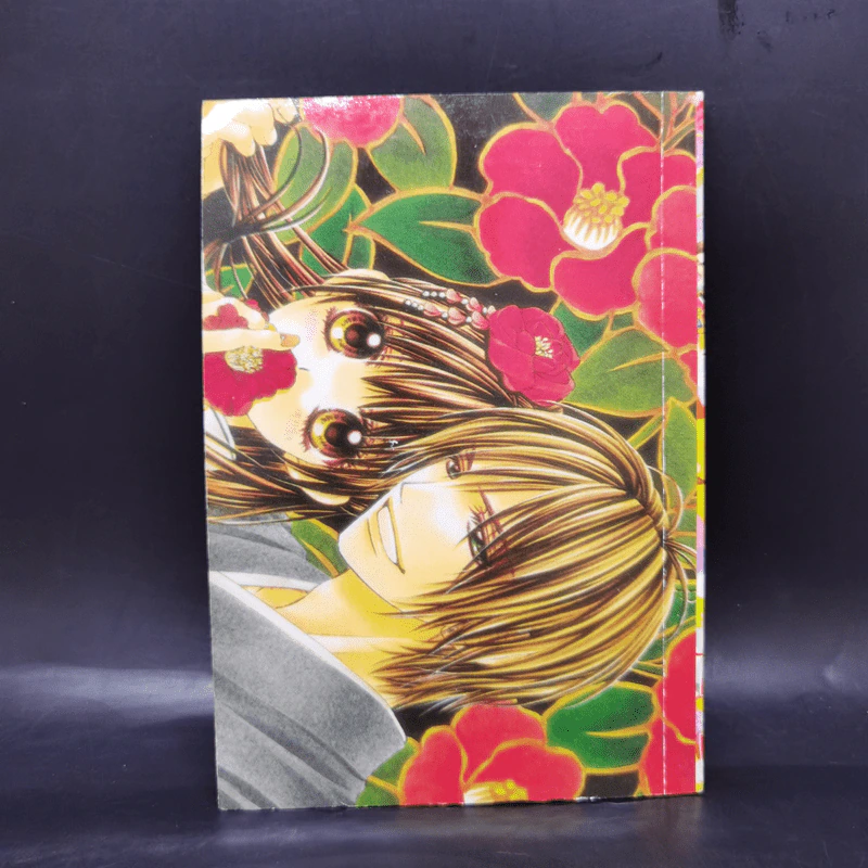 การ์ตูนหมึกจีน คุณชายจำแลง รูปที่ 2