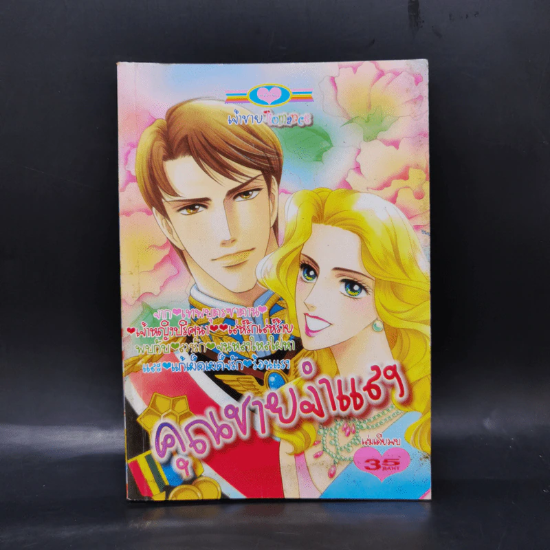 การ์ตูนหมึกจีน คุณชายจำแลง รูปที่ 1