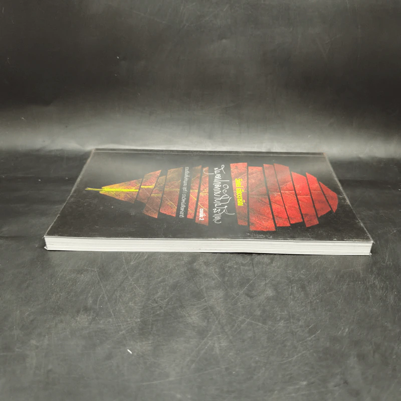 สมุดปกดำกับใบไม้สีแดง - วินทร์ เลียววาริณ รูปที่ 5
