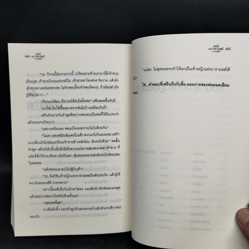 หัวขโมยแห่งบารามอส กับมงกุฎแห่งหัวใจ - Rabbit รูปที่ 11