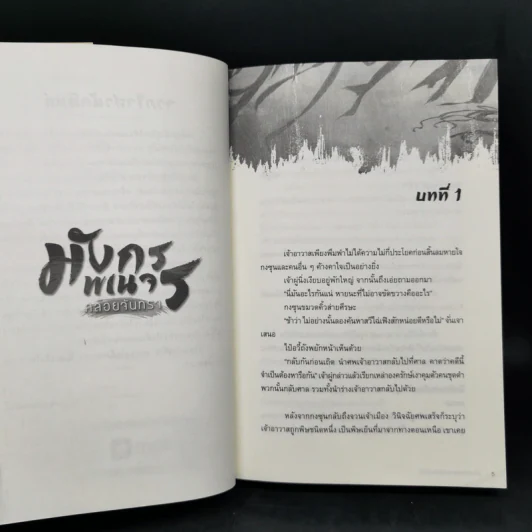 นิยายวาย มังกรพเนจรคล้อยจันทรา 5 เล่มจบ - เอ๋อร์หย่า (ErYa) รูปที่ 21