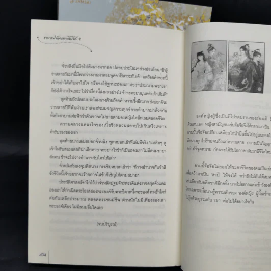 ชายาแม่ทัพหยามไม่ได้ 2 เล่มจบ - ฉางโกวลั่วเยวี่ย รูปที่ 12