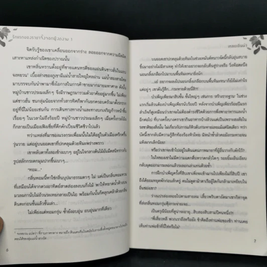 รักแรกของราชาจิ้งจอกผู้งดงาม 2 เล่มจบ - เหลยเอินน่า รูปที่ 11