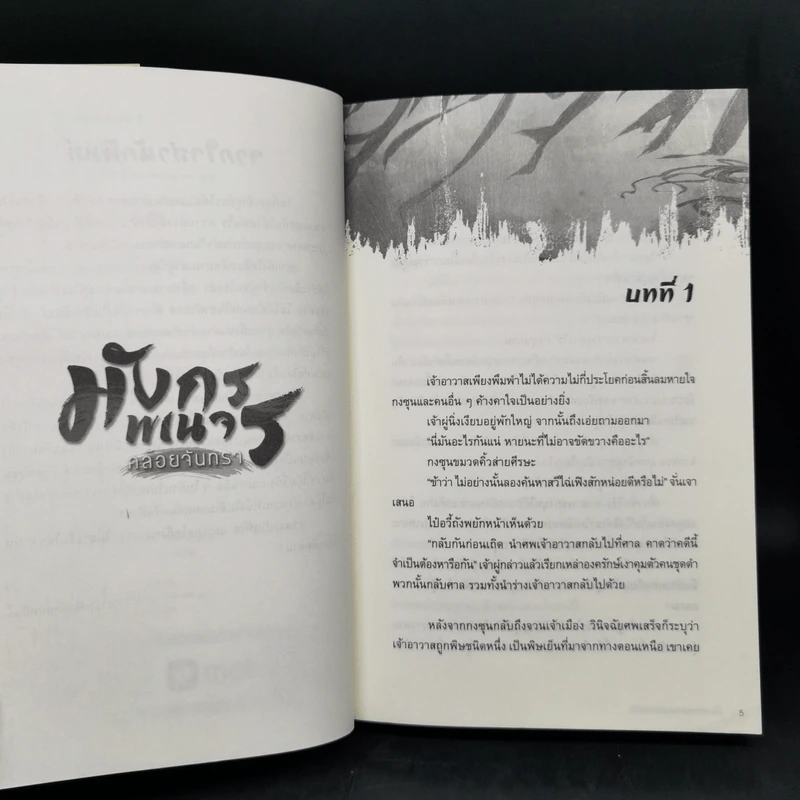 นิยายวาย มังกรพเนจรคล้อยจันทรา 5 เล่มจบ - เอ๋อร์หย่า (ErYa) รูปที่ 21