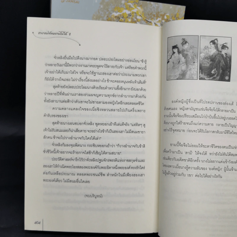 ชายาแม่ทัพหยามไม่ได้ 2 เล่มจบ - ฉางโกวลั่วเยวี่ย รูปที่ 12