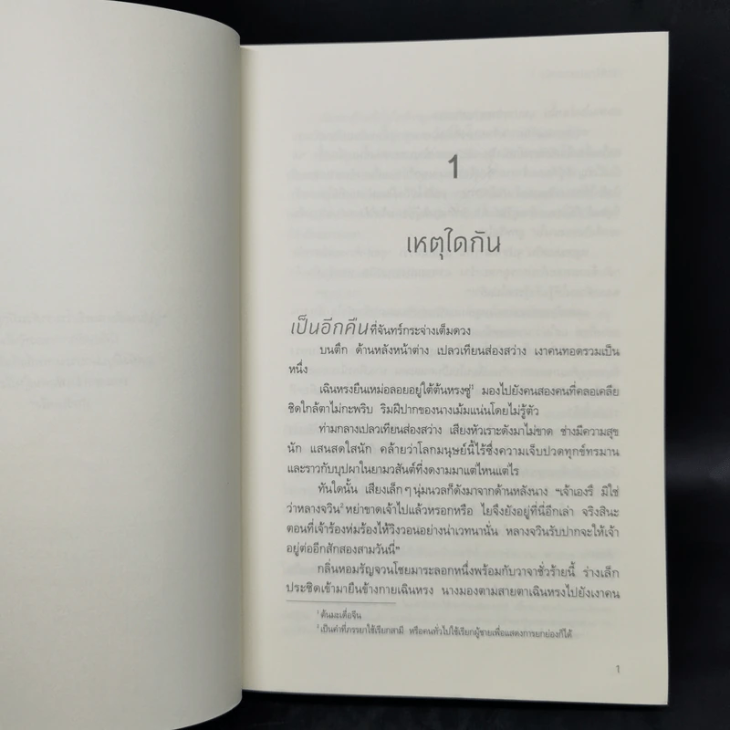 เสน่ห์รักขุนนางหญิง 4 เล่มจบ - หลินจยาเฉิง รูปที่ 9