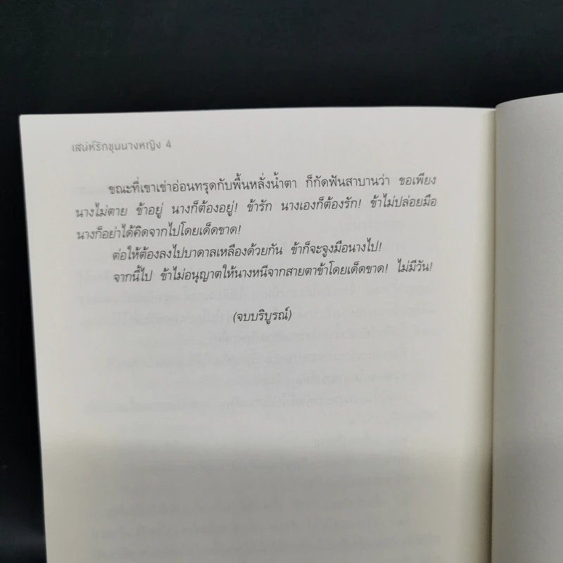 เสน่ห์รักขุนนางหญิง 4 เล่มจบ - หลินจยาเฉิง รูปที่ 19