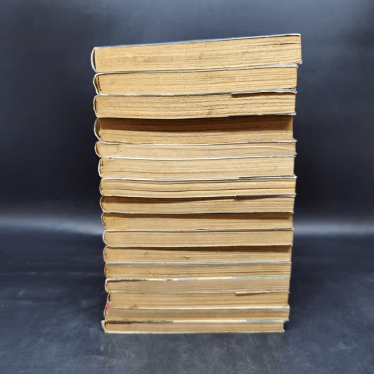 RUKA เย้ยอเวจี เล่ม 1-16 รูปที่ 3