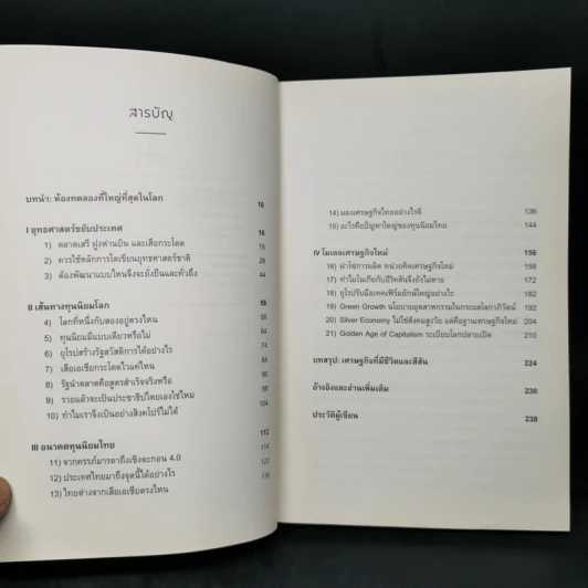 เศรษฐกิจสามสี - เศรษฐกิจแห่งอนาคต - วีระยุทธ กาญจน์ชูฉัตร รูปที่ 9