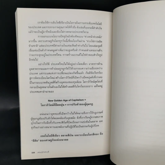 เศรษฐกิจสามสี - เศรษฐกิจแห่งอนาคต - วีระยุทธ กาญจน์ชูฉัตร รูปที่ 12