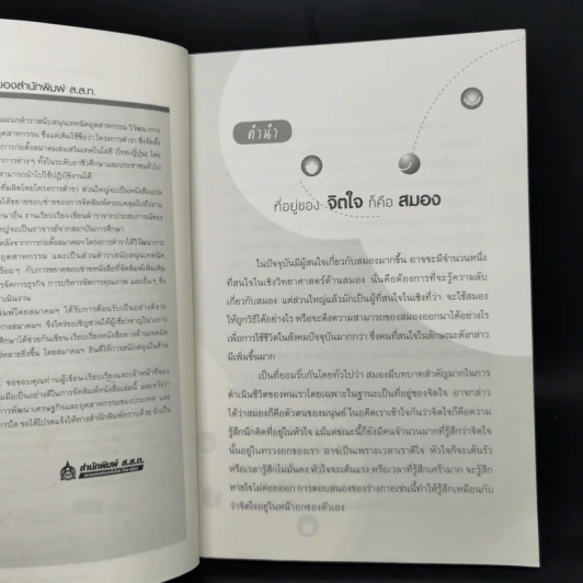 อัศจรรย์....วันที่สมองประทับใจ - Kenichiro MOGI รูปที่ 9