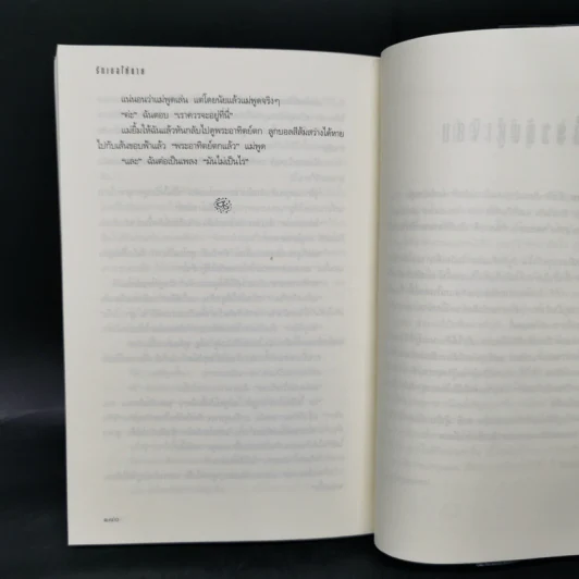 เดอะเมดิเอเตอร์ เล่ม 1 ตอน รักเธอให้ตาย - Meg Cabot (เม็ก คาบอท) รูปที่ 10