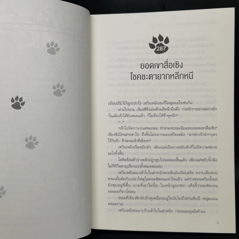 นิยายวาย ฮัสกี้หน้าโง่กับอาจารย์เหมียวขาวของเขา เล่ม 9 - โร่วเปาปู้ชือโร่ว (rou bao bu chi rou) รูปที่ 9