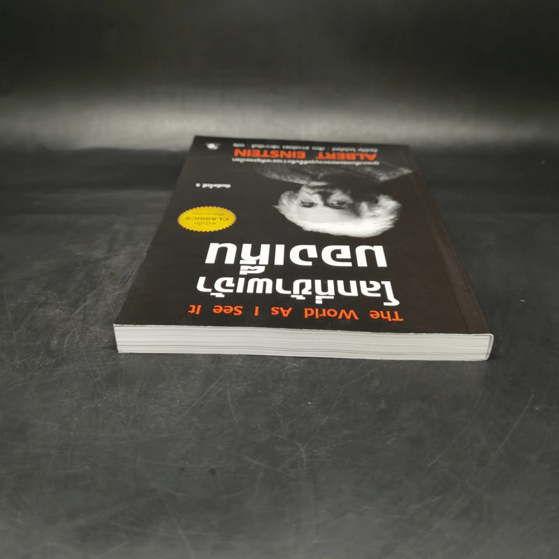 โลกที่ข้าพเจ้ามองเห็น The World As I See It - อัลเบิร์ต ไอน์สไตน์ รูปที่ 6
