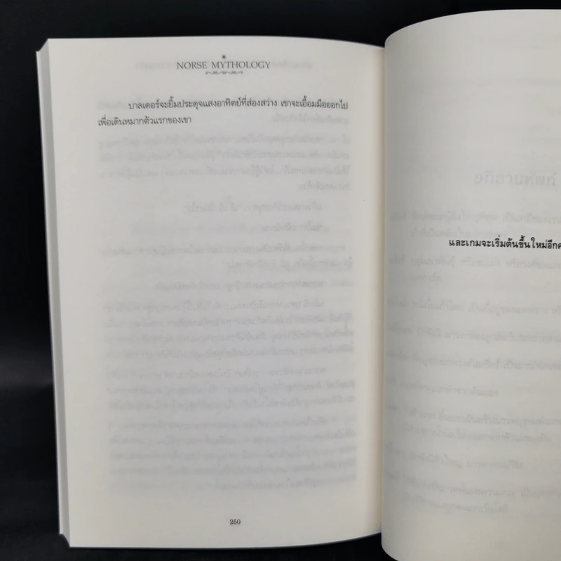 เทพปกรณัมนอร์ส NORSE MYTHOLOGY - นีล เกแมน รูปที่ 13