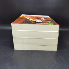 นิยายแจ่มใส ชุด ตำหนักรักนิรันดร์ 4 เล่มจบ Boxset รูปที่ 8