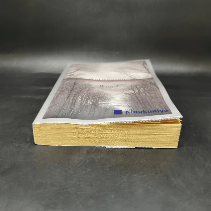Norwegian Wood - Haruki Murakami รูปที่ 4