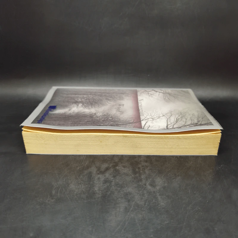 Norwegian Wood - Haruki Murakami รูปที่ 5