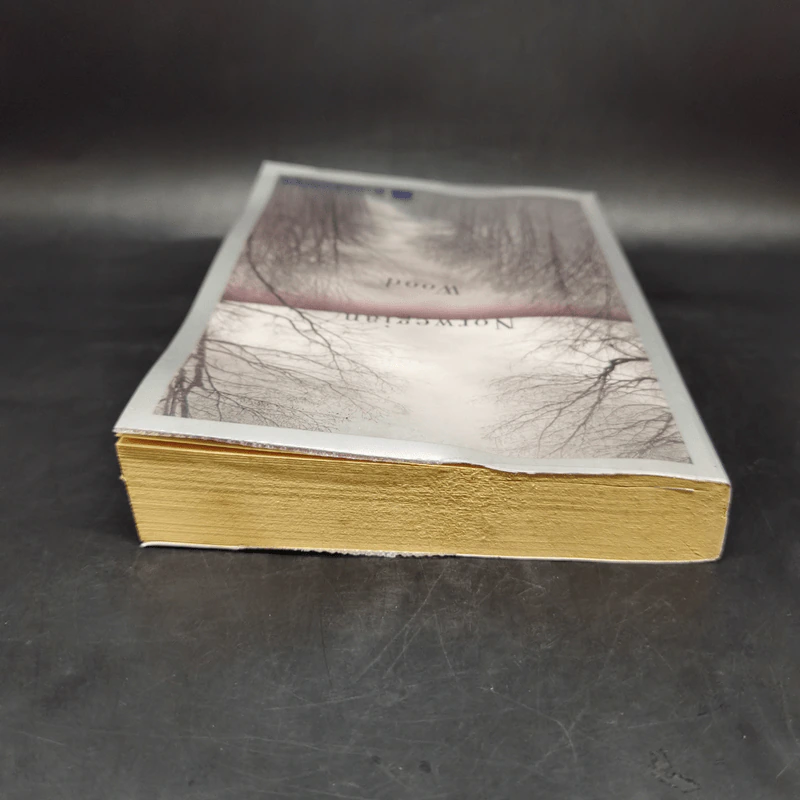 Norwegian Wood - Haruki Murakami รูปที่ 6