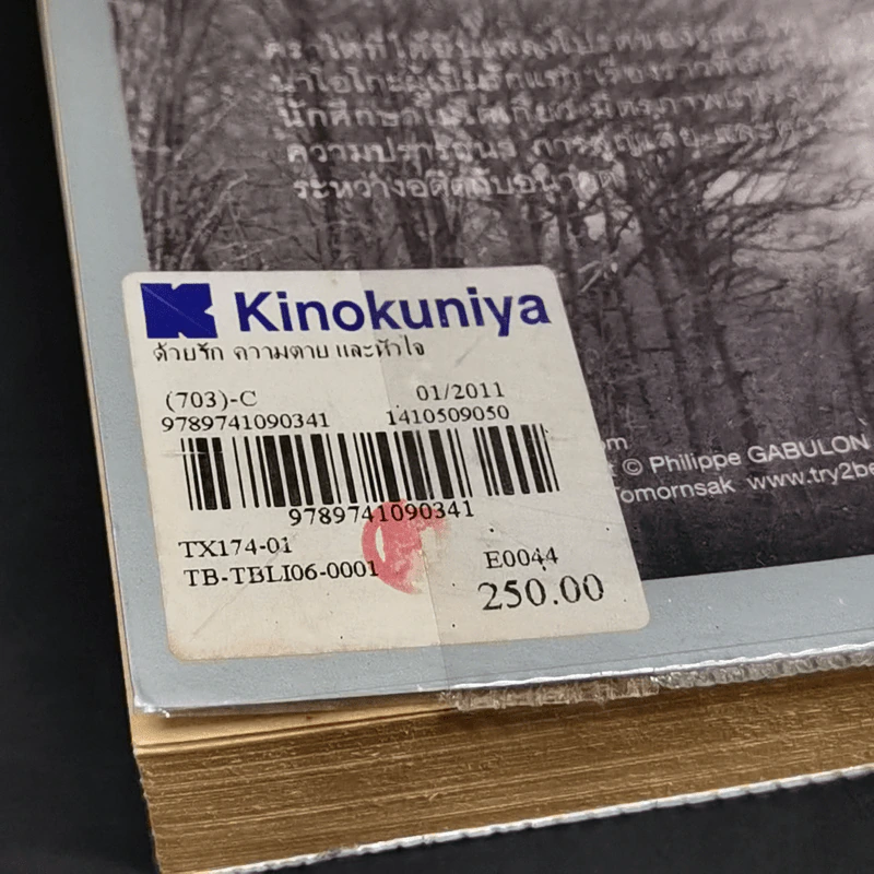 Norwegian Wood - Haruki Murakami รูปที่ 11