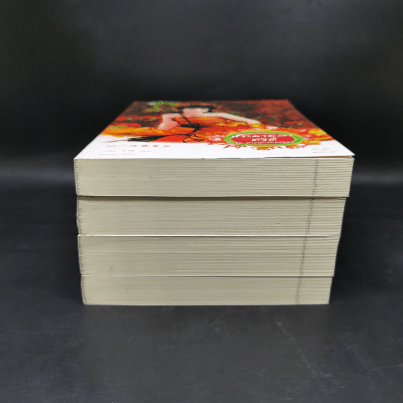 นิยายแจ่มใส ชุด ตำหนักรักนิรันดร์ 4 เล่มจบ Boxset รูปที่ 6