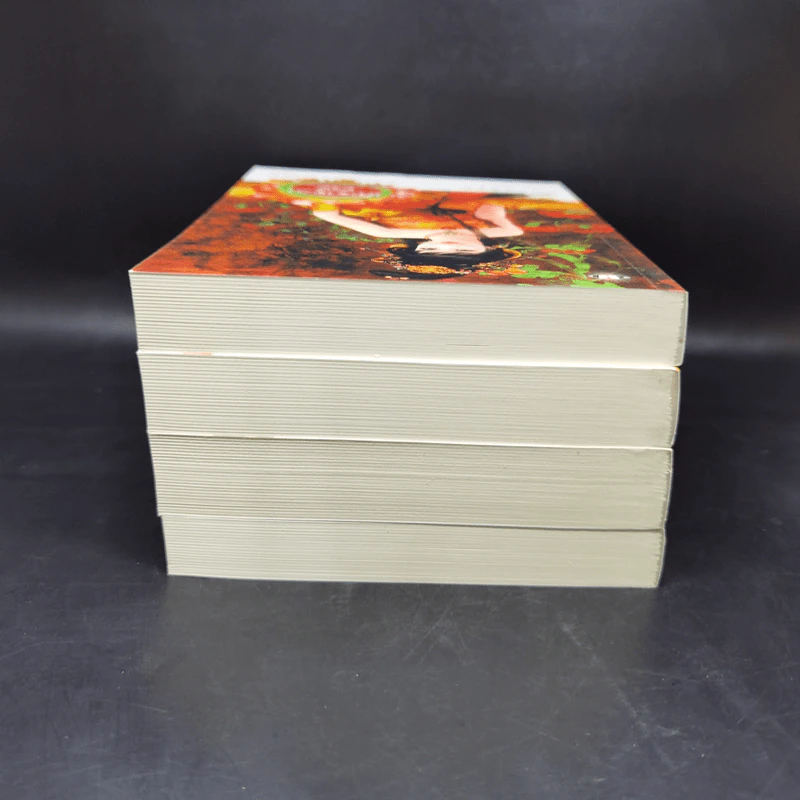 นิยายแจ่มใส ชุด ตำหนักรักนิรันดร์ 4 เล่มจบ Boxset รูปที่ 8