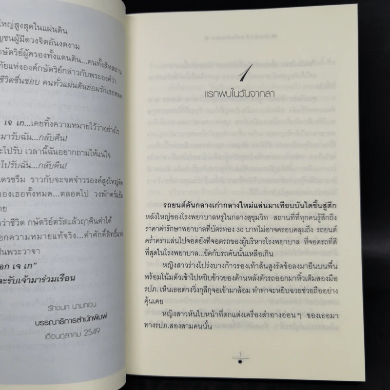 บัลลังก์สายหมอก 2 เล่มจบ - วรรณวรรธน์ รูปที่ 10