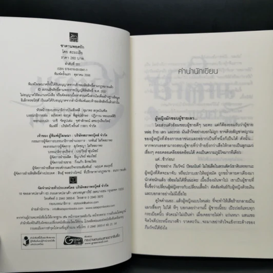 ซาตานพยศรัก - สะมะเรีย รูปที่ 9