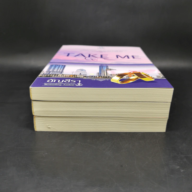 นิยายชุด TAKE ME 3 เล่ม รูปที่ 3