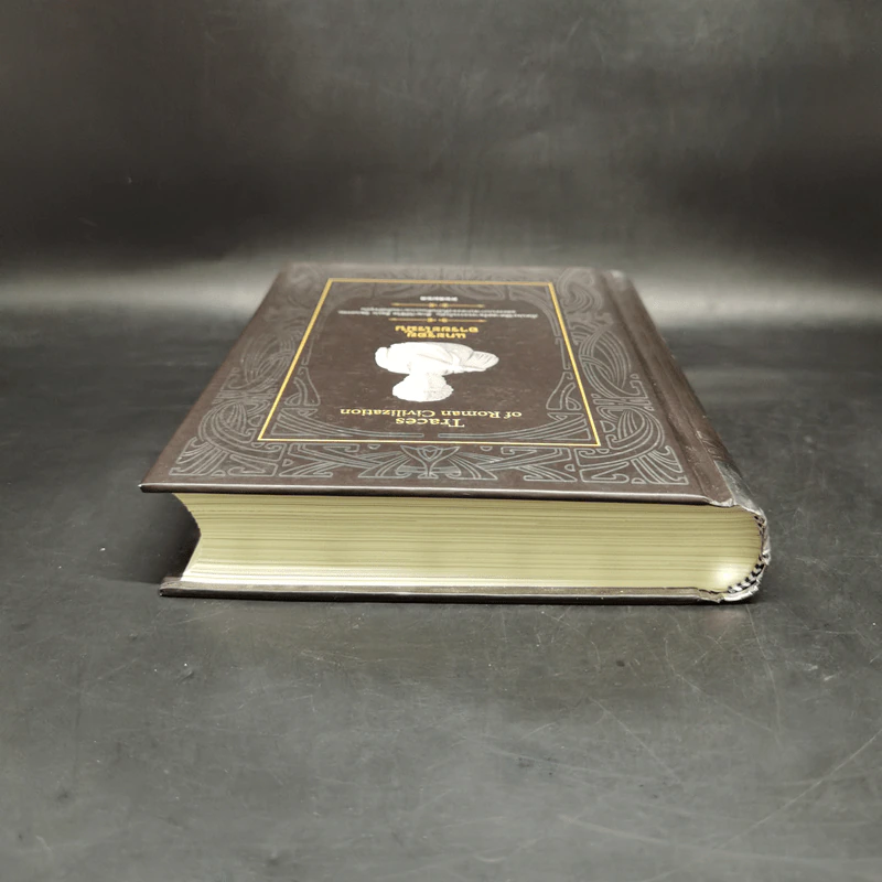 แกะรอยอารยะโรมัน - คอสมอส รูปที่ 6
