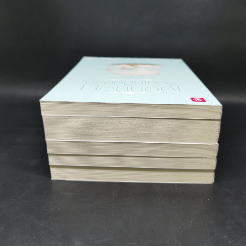 ชุด Box Set Ever After...หัวใจในกาลครั้งหนึ่ง รูปที่ 8