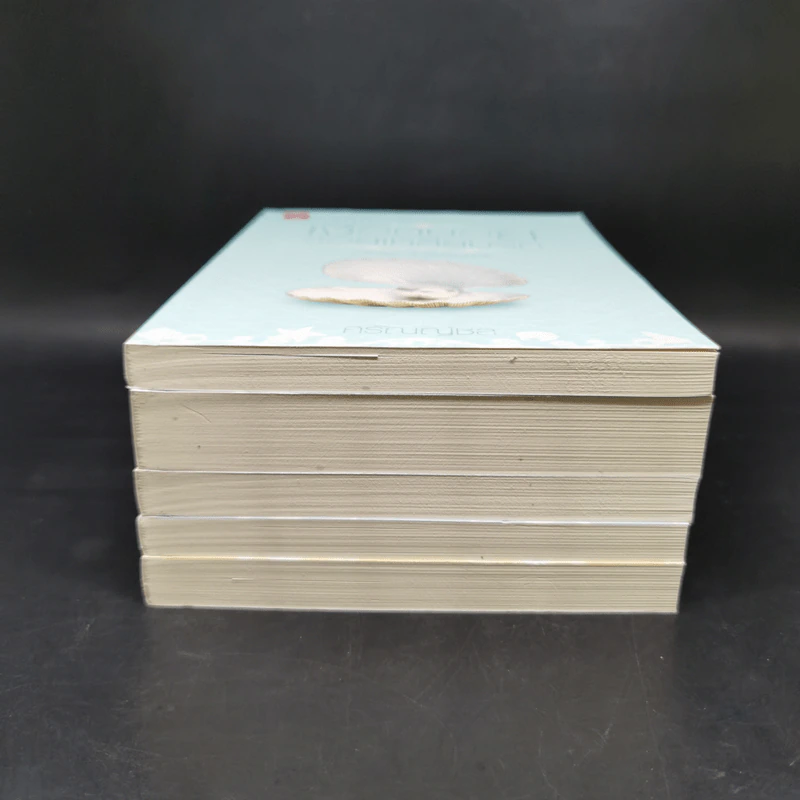 ชุด Box Set Ever After...หัวใจในกาลครั้งหนึ่ง รูปที่ 6