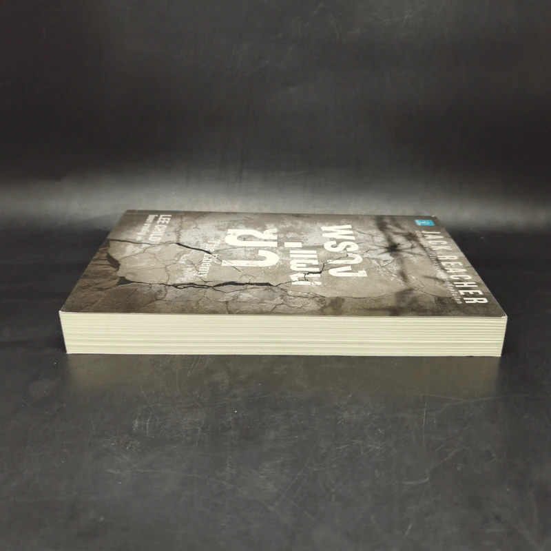 พรางแผนฆ่า The Enemy - Lee Child, โรจนา นาเจริญ รูปที่ 5