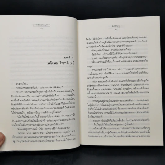 เพลิงรักรานบุปผา - ฉัตรฉาย รูปที่ 9