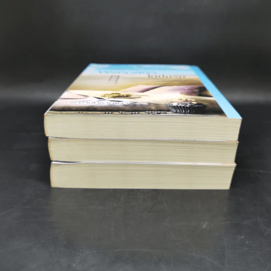 กามเทพล่าหัวใจ + เล่ห์พรหมพร่างรัก + พรหมลิขิตใต้ปีกรัก รูปที่ 3