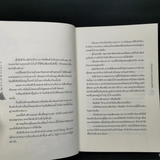 นิยายวาย ตัวร้ายอย่างข้า...จะหนีเอาตัวรอดยังไงดี 3 เล่มจบ - โม่เซียงถงซิ่ว รูปที่ 13