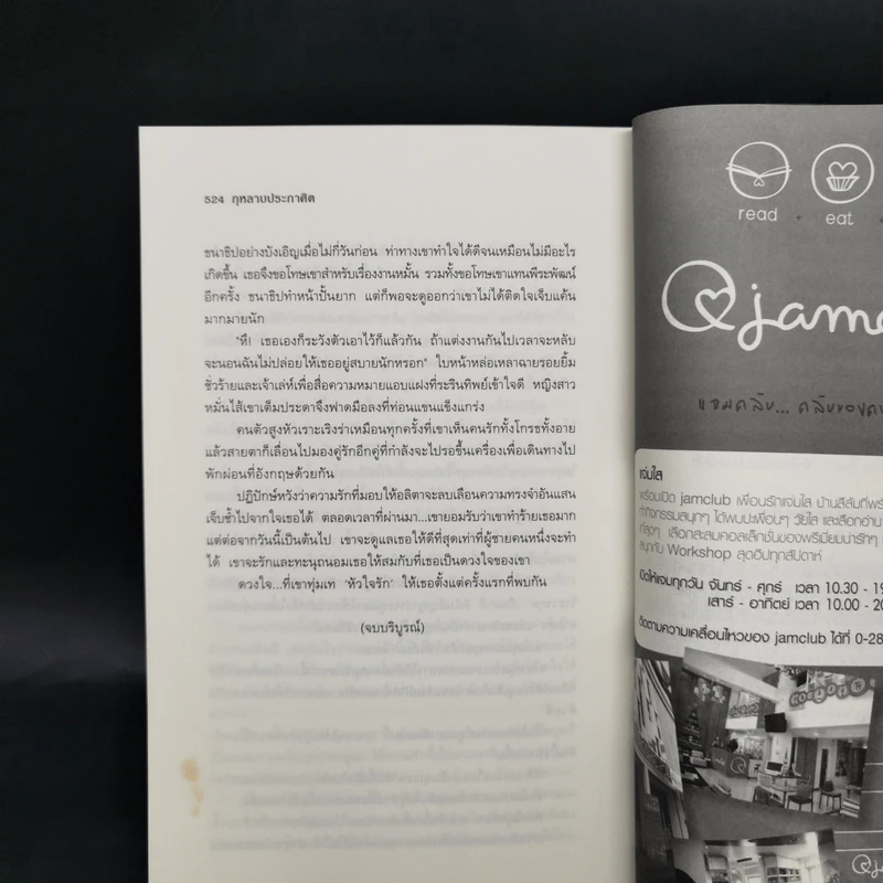 กุหลาบประกาศิต - ฉัตรฉาย รูปที่ 10